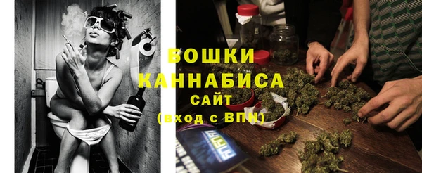 стаф Медвежьегорск