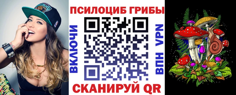 Купить где  Бобров  Псилоцибиновые грибы Magic Shrooms 